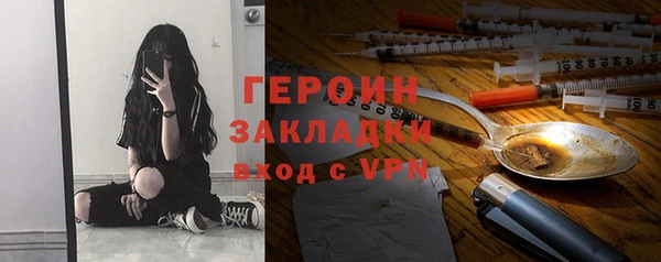 прущие грибы Коряжма