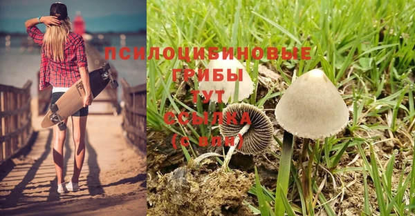 амф Абдулино