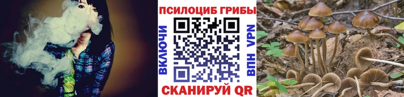 Галлюциногенные грибы Magic Shrooms  Щучье 