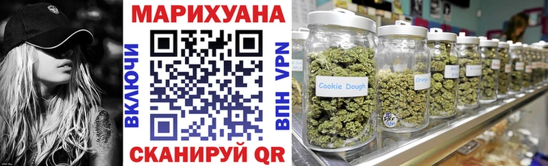 где можно купить   Щучье  Конопля ГИДРОПОН 